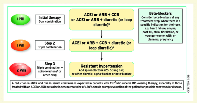 hyper nefr Drug-treatment-strategy-for-hypertension-and-chronic-kidney-disease-ACEi