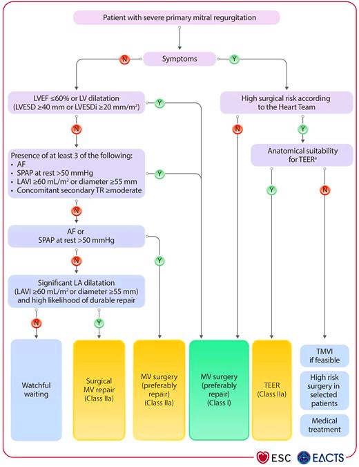 MITRAL VALV m_ehaf194f11