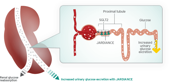 Η EMPAGLIFLOZIN (JARDIANCE) ΜΕΙΩΝΕΙ ΤΟΥΣ ΘΑΝΑΤΟΥΣ ΔΙΑΒΗΤΙΚΩΝ ΤΥΠΟΥ 2