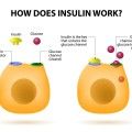 prod meta-how-does-insulin-work