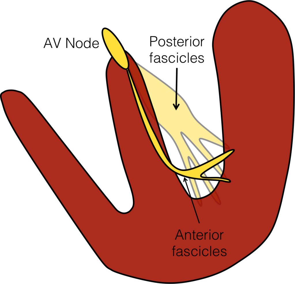 lbb 1Figure-1