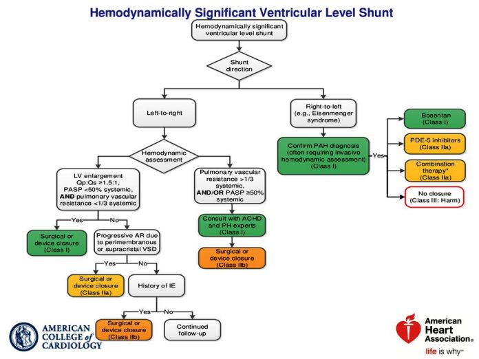 Hemodynamically Significant Ventricular Level Shunt