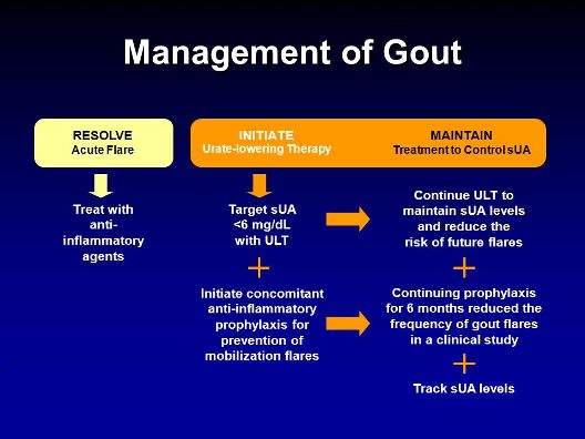 MAINTAIN Treatment to Control sUA. Continue ULT to maintain sUA levels and reduce the risk of future flares. Treat with anti-inflammatory agents. Target sUA <6 mg/dL with ULT. Speaker Notes. Gout management goals are to: Resolve the painful acute attack3,8. Initiate urate-lowering therapy to target sUA levels <6 mg/dL3,8. Maintain treatment to control sUA levels and reduce the risk of future flares3,8. Acute flares should be resolved with anti-inflammatory agents2,3. Commonly used anti-inflammatory therapies include: Nonsteroidal anti-inflammatory drugs (NSAIDs)2,3. COLCRYS (colchicine, USP)2,3. Corticosteroids2,3. The choice of drug should be considered for each patient, keeping in mind the risks associated with use in patients with comorbidities, such as renal impairment, and the elderly2. For chronic management, initiate urate-lowering therapy to achieve sUA <6 mg/dL and provide concomitant anti-inflammatory prophylaxis for prevention of mobilization flares. Reduction of sUA concentrations to <6 mg/dL may eventually reduce recurrent gout attacks4,5,7. Initiation of urate-lowering therapy, including ULORIC (febuxostat), may result in a mobilization flare, which occurs when urate moves from tissue deposits6. In a clinical study, using colchicine with urate-lowering therapy for 6 months decreased the frequency of gout flares1. Track sUA levels to ensure target sUA is achieved and maintained2. Borstad GC, Bryant LR, Abel MP, et al. Colchicine for prophylaxis of acute flares when initiating allopurinol for chronic gouty arthritis. J Rheumatol. 2004;31: Emmerson BT. The management of gout. N Engl J Med. 1996;334: Harris MD, Siegel LB, Alloway JA. Gout and hyperuricemia. Am Fam Physician. 1999;59: Li-Yu J, Clayburne G, Sieck M, et al. Treatment of chronic gout. Can we determine when urate stores are depleted enough to prevent attacks of gout? J Rheumatol. 2001;28: Loebl WY, Scott JT. Withdrawal of allopurinol in patients with gout. Ann Rheum Dis. 1974;33: Schumacher HR, Chen LX. The practical management of gout. Cleve Clin J Med. 2008;75(suppl 5):S22-S25. Shoji A,Yamanaka H, Kamatani N. A retrospective study of the relationship between serum urate level and recurrent attacks of gouty arthritis: evidence for reduction of recurrent gouty arthritis with antihyperuricemic therapy. Arthritis Rheum. 2004;51: Wortmann RL, Kelley WN. Gout and hyperuricemia. In: Harris ED Jr, Budd RC, Genovese MC, et al, eds. Kelley’s Textbook of Rheumatology. 7th ed. Philadelphia, PA: Elsevier Saunders; 2005: Initiate concomitant anti-inflammatory prophylaxis for prevention of mobilization flares. Continuing prophylaxis for 6 months reduced the frequency of gout flares in a clinical study. Track sUA levels. 39.