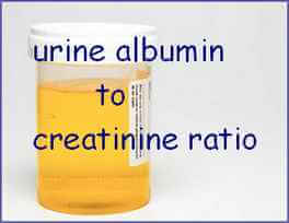 KIDN urine-albumin
