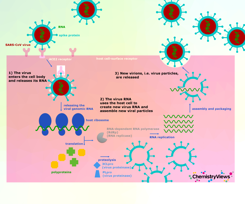 Cor onaVirus0