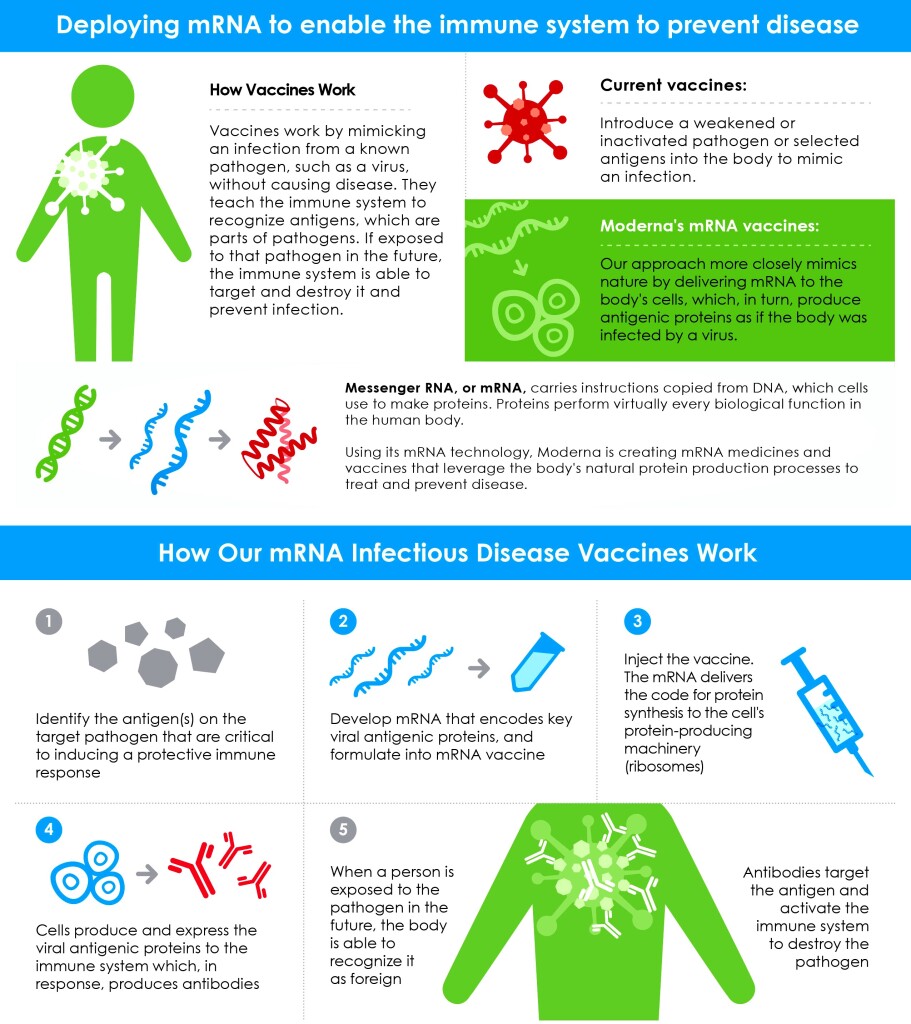 Moderna mRNA Vaccines Infographic 090616_v6