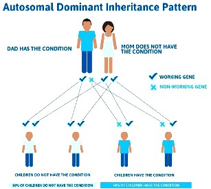 br br -Brugada-syndrome_autosomal_dominant_inheritance_pattern