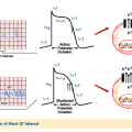 sqt chan-sqts-7-Figure1-1-1024x551