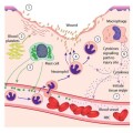 anosia Inflammatory-Response