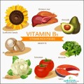 panto Vitamin_B5_Function_big_898
