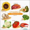 panto Vitamin_B5_Function_big_898
