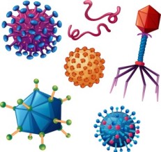 ANOSIA cor-different-types-of-viruses-on-white-background-vector-16950811