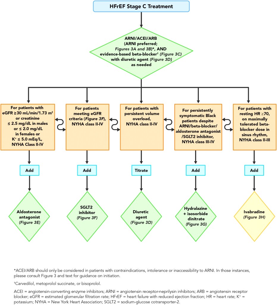 B20178 HF Pathway Update-V9