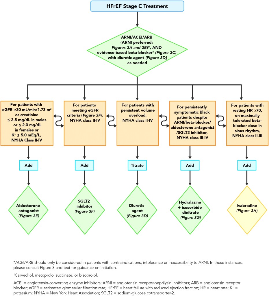 B20178 HF Pathway Update-V9