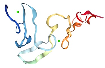thromb PROS1-protein-structure