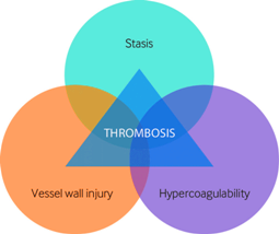 thromb rchows-triad-of-the-three-broad-categories-of-factors-that-are-thought-to-contribute-to