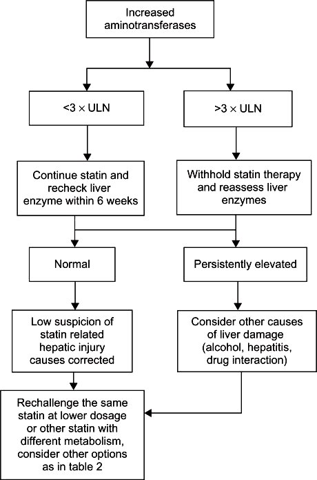 stat Algorithm-for-management-for-abnormal-liver-enzymes-during-statin-therapy-Abbreviation