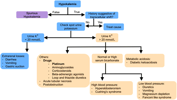 Hypo kalemia-diagnostic-algorithm