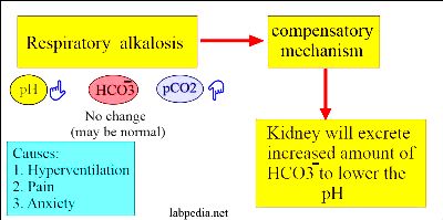 ab Acid-base-Respiratory-alkalosis-compen-3