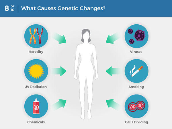 can 8-what-causes-genetic-changes