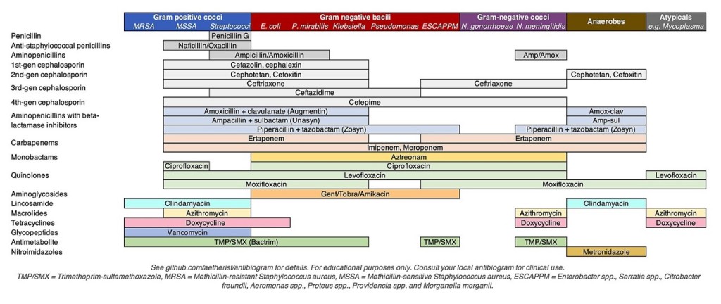 2023-12-12_Antibiotics_Coverage_Diagram